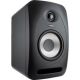 Tannoy REVEAL 502 Studiomonitor