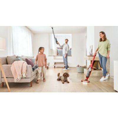 28. BOSCH BBH 3ZOO28 FLEXXO Staubsauger