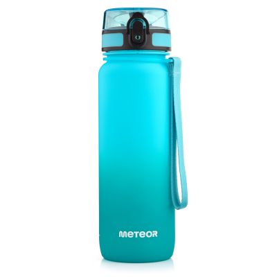 Meteorflasche 800 ml 17661 Grün/Blau