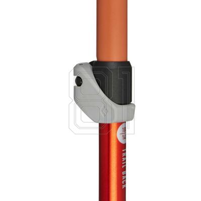 4. Black Diamond Trail Back Burnt Sienna Trekking Poles