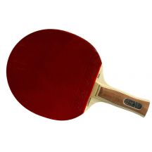 Atemi 3000 Tischtennisschläger