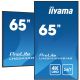 IIYAMA-Monitor 164,0 cm (65") LH6541UHS-B1AG 16:9 3xHDMI+USB IPS