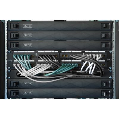 2. Digitus Keystone Modul CAT 6A, geschirmt mit Smart Cable Manager - 48 Stück.