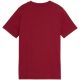 2. Puma ESS Small No. 1 Logo Centered Tee für Kinder Braun 692975 23