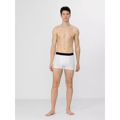 4. Boxershorts 4F M H4Z22-BIM350-92S