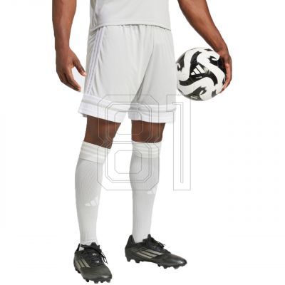 Shorts adidas Squadra 25 M JH3413
