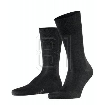 3. Falke Tiago So Socken M 14662-3190
