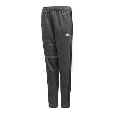 Adidas TAN TR Panty Junior CZ8701 training pants