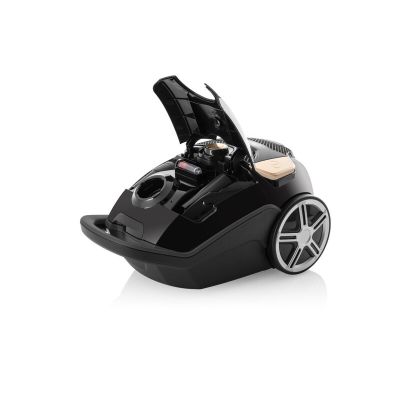 5. Eta Avanto 3 l Trockensaugerzylinder 800 W Staubbeutel