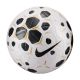 2. Nike Control HV4395-100 Ball