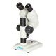 3. Delta Optical StereoLight Stereomikroskop