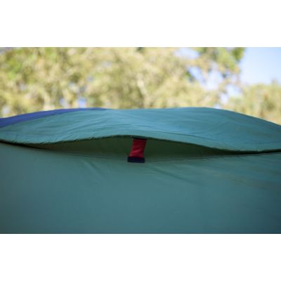 10. Coleman Darwin 4 Plus 4-Personen-Kuppelzelt/Iglu (grün)