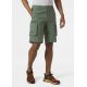 10. Helly Hansen Move Qd Shorts 2.0 M 53977 476