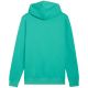 3. Puma ESS No. 1 Logo Centered Hoodie Grün 692914 40