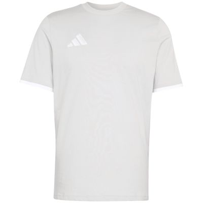 2. Herren adidas Entrada 26 Tee grau JZ6677