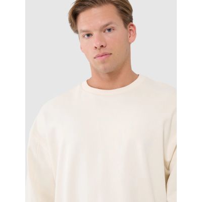 4. Herren Oversize Sweatshirt ohne Reißverschluss, ohne Kapuze 4F 4FWSS25TSWSM1536-80S-12S