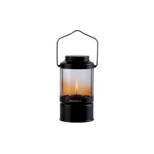Aurora-schwarze Feuerahornlampe