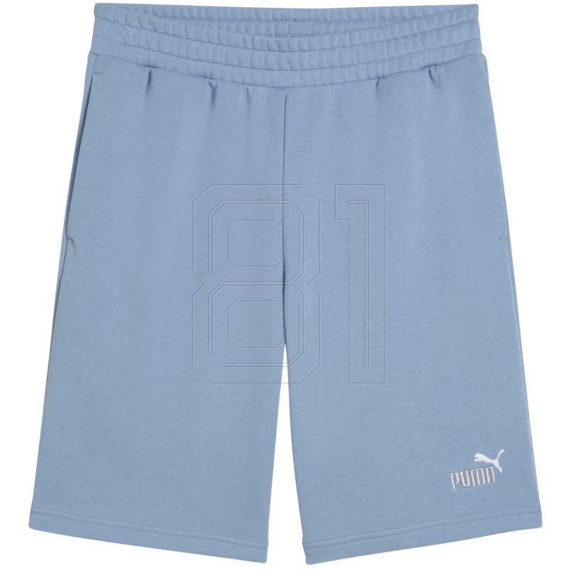 Puma Ess 2 Farbe Nr. 1 Logo Shorts M 684715 34