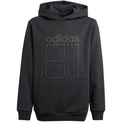 Adidas Allszn GFX HD Jr sweatshirt IS4661