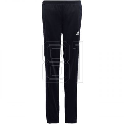 4. adidas Essentials Big Logo Track Suit Jr HR6408