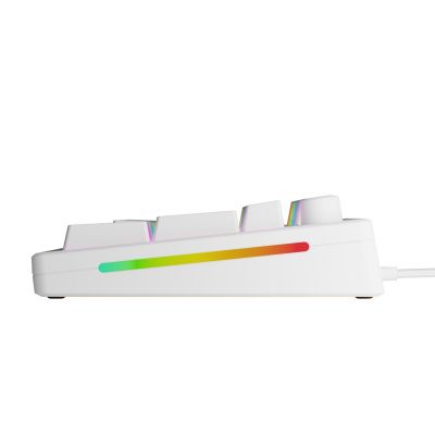 5. Glorious Gaming GMMK 3 HE 100% vorgefertigte USB-Tastatur QWERTY US-Englisch Weiß