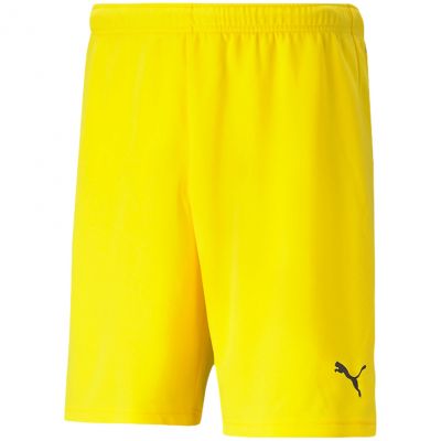 Puma teamRISE Cyber M 704942 07 Shorts