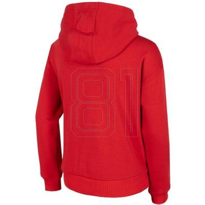 2. Sweatshirt 4F Jr HJZ22-JBLM006 62S