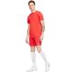 14. Nike Dry Park VII JSY SS M BV6708 657 T-Shirt
