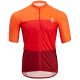 Herren-Radtrikot (kurzärmlig) SILVINI Men Jersey TURANO