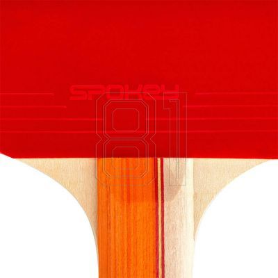 10. SPOKEY STANDARD 81813 PING-PONG-SET