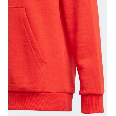 3. Adidas Essentials Big Logo Hoodie Jr GN4037 Sweatshirt