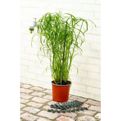 4. KINZO Pflanzenclips, 20 Stück