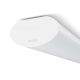 5. Philips Belka Projectline