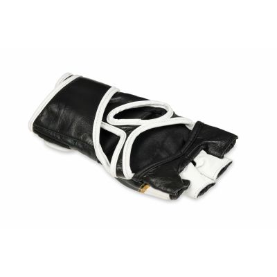 4. MMAM-Handschuhe – Urteil – LegacySeries