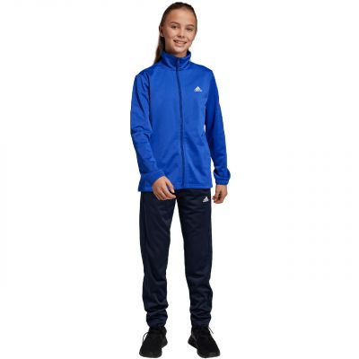 5. adidas Essentials Big Logo Trainingsanzug Jr HR6408