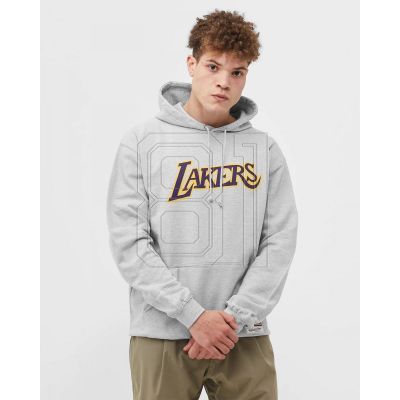 2. Mitchell & Ness Team Logo Hoody Los Angeles Lakers M HDSSINTL1050-LALGREY