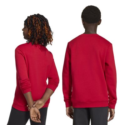 2. adidas Entrada 26 Sweat Top rot JZ6556