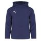 3. Puma Jr. Sweatshirt 655636 06