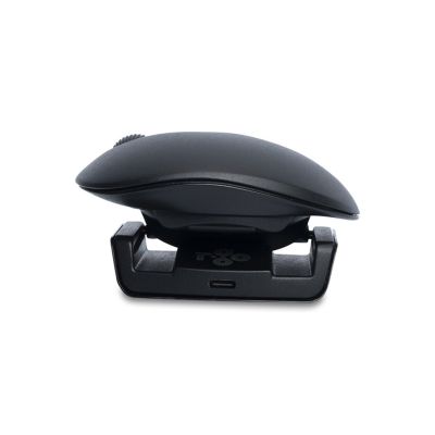 6. R-Go Beidhändige ergonomische Twis-Maus