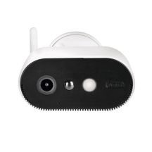 ABUS PPIC91520 Industrielle IP-Sicherheitskamera für den Innen- und Außenbereich