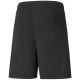 4. Puma teamLiga M 704924 03 Shorts