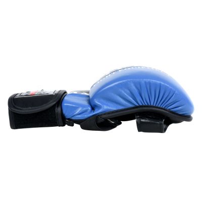 6. Masters MMA Handschuhe GFS-10 0110-02M
