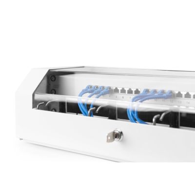 31. Wandschrank NWS 19" Slim Line 3HE drehbar, 2HE fest, 145x500x475 mm, Farbe Grau (RAL 7035)