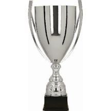 Silberner Metallbecher-Braten