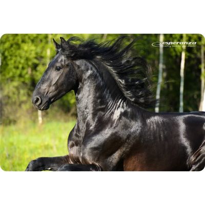 10. Esperanza Photo Mix Mauspad EA133