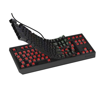 12. GENESIS Thor 230 TKL Gaming-Tastatur USB + RF Wireless + Bluetooth QWERTY Schwarz