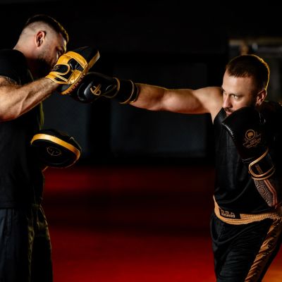 17. Mehrschichtige Boxhandschuhe - ProFighter Gold - Legacy Series