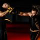 17. Mehrschichtige Boxhandschuhe - ProFighter Gold - Legacy Series