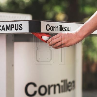 12. Cornilleau Pro 510M Outdoor 112302 Table Tennis Table