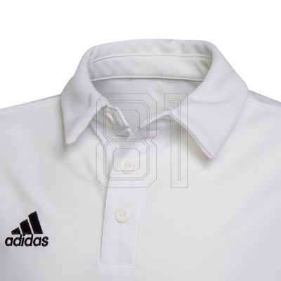 3. adidas Entrada 22 Polo Jr HC5059